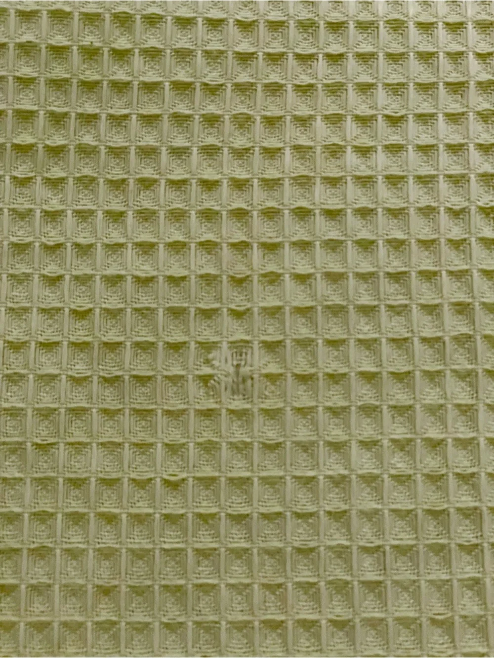 Martha Stewart Everyday Light Green Waffle Weave Grommet Top Shower Curtain